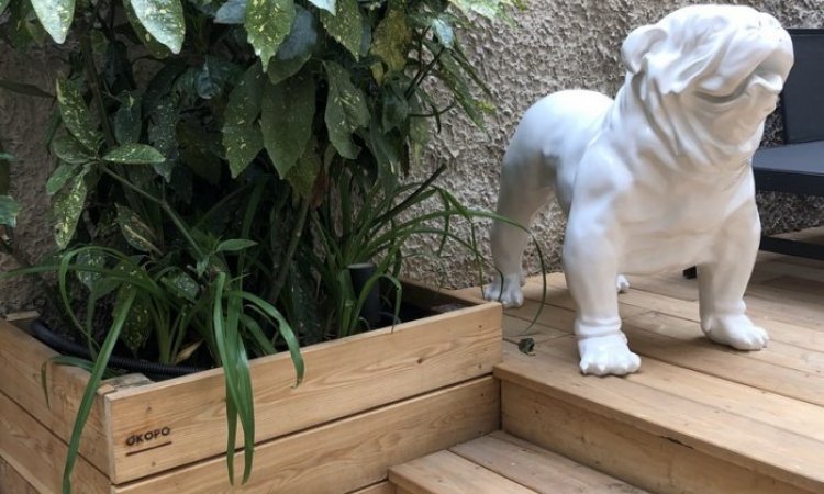 OKOPO Terrasse bois et extérieur Saint-Cyr-au-Mont-d'Or